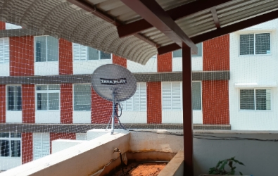 Pigeon Safety Net IN bengaluru