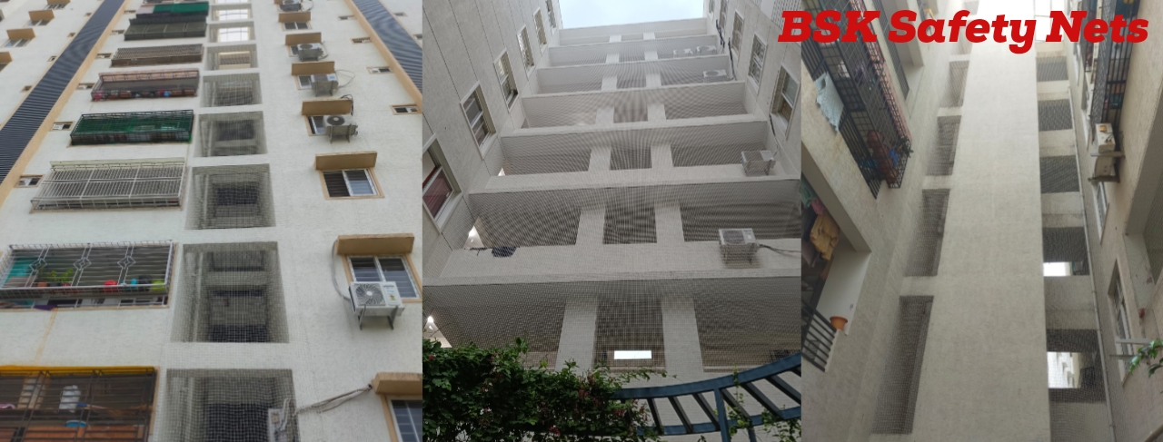 Bird Spikes in bengaluru
