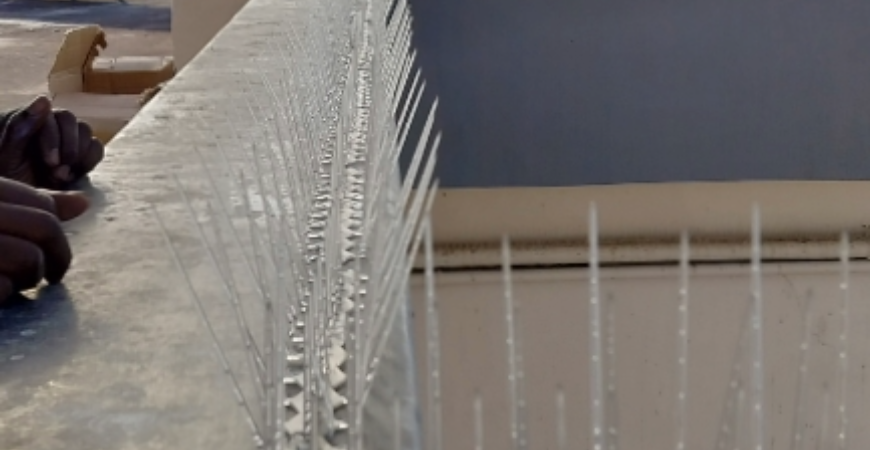 BIRD SPIKES IN BENGALURU
