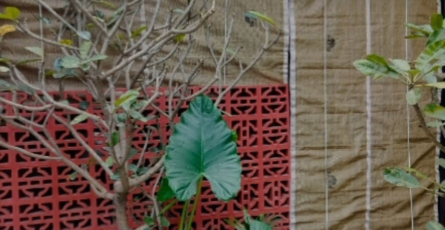 BALCONY SAFETY  NETS IN BENGALURU
