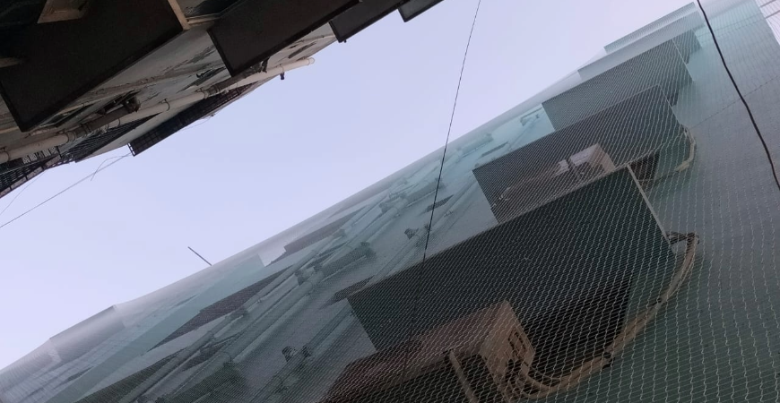 BIRD NETTING  IN BENGALURU
