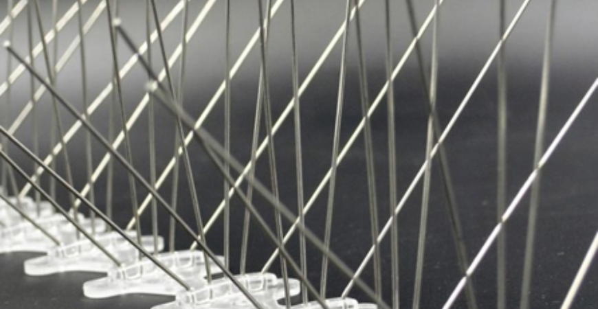 BIRD SPIKES IN BENGALURU
